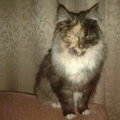 User avatar for Karmin Hunt