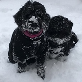 User avatar for Harry Scott