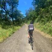 User avatar for Matthew Hutcheson