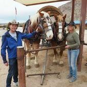 User avatar for Andrea Preston