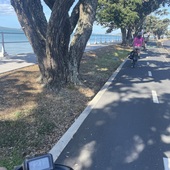 User avatar for Karel Peeters