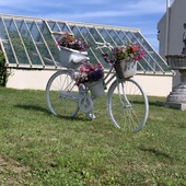 User avatar for Mark Bowden