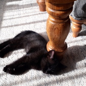 User avatar for Linda Haynes