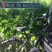 User avatar for Geraldine Baudains