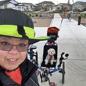 User avatar for Mary Anne Arcilla