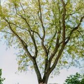 User avatar for Clay Lockwood