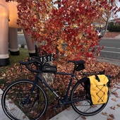 User avatar for Mary Davis