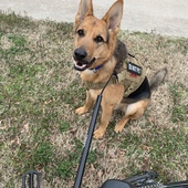 User avatar for Ginny Lantz