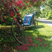 User avatar for Catriona Turnbull