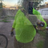 User avatar for Andy Hamilton