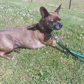 User avatar for Annmarie Paterson