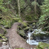 User avatar for George Cowan