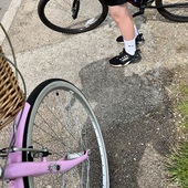 User avatar for Ann Marie Boyce