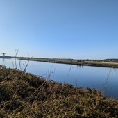 User avatar for Aily Thomson