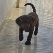 User avatar for Dean O'Neill