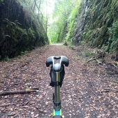 User avatar for Carlos The Jackal