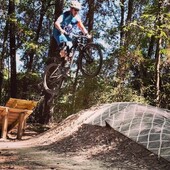 User avatar for Orlando Perez