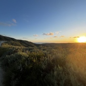 User avatar for Colin Nettekoven