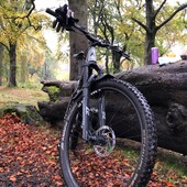 User avatar for Ellis Mc Kinnon