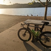 User avatar for Alan Walker