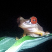 User avatar for Adrian Hughes