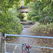 User avatar for Christopher Collins