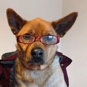 User avatar for Caroline Harvey