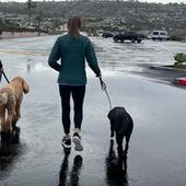 User avatar for Barbara Jicha