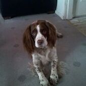 User avatar for Kevin Rankine