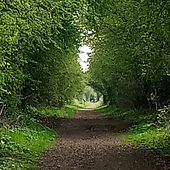 User avatar for gary riley