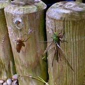 User avatar for Judith Kemp