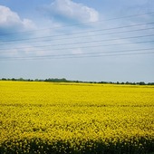 User avatar for Paul Wenn