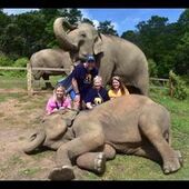 User avatar for Drew Strachan