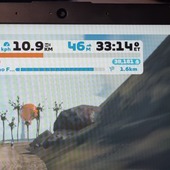 User avatar for Elaine Noden