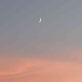 User avatar for Christian Lacombe