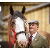 User avatar for Douglas Hamilton