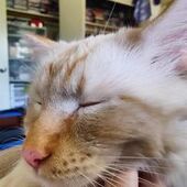 User avatar for Dave Leon