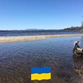 User avatar for Alexandre De Léséleuc