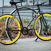 User avatar for Mark Schneider