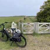 User avatar for Lauren Louise