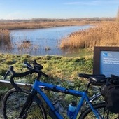 User avatar for Clive Peace