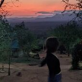 User avatar for Amy Adshead