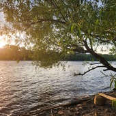 User avatar for Alexandra Deschênes