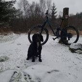 User avatar for Elyse Cottrell