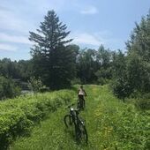 User avatar for Carolle Lauzon