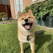 User avatar for Alison Melrose