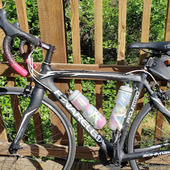 User avatar for Amy Panoushek