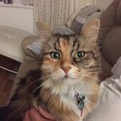 User avatar for Cindy Lai