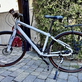 User avatar for Dominic Flibotte