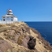 User avatar for Marie Claude Allard